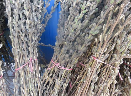 农作物秸杆栽培食用菌的意义分析